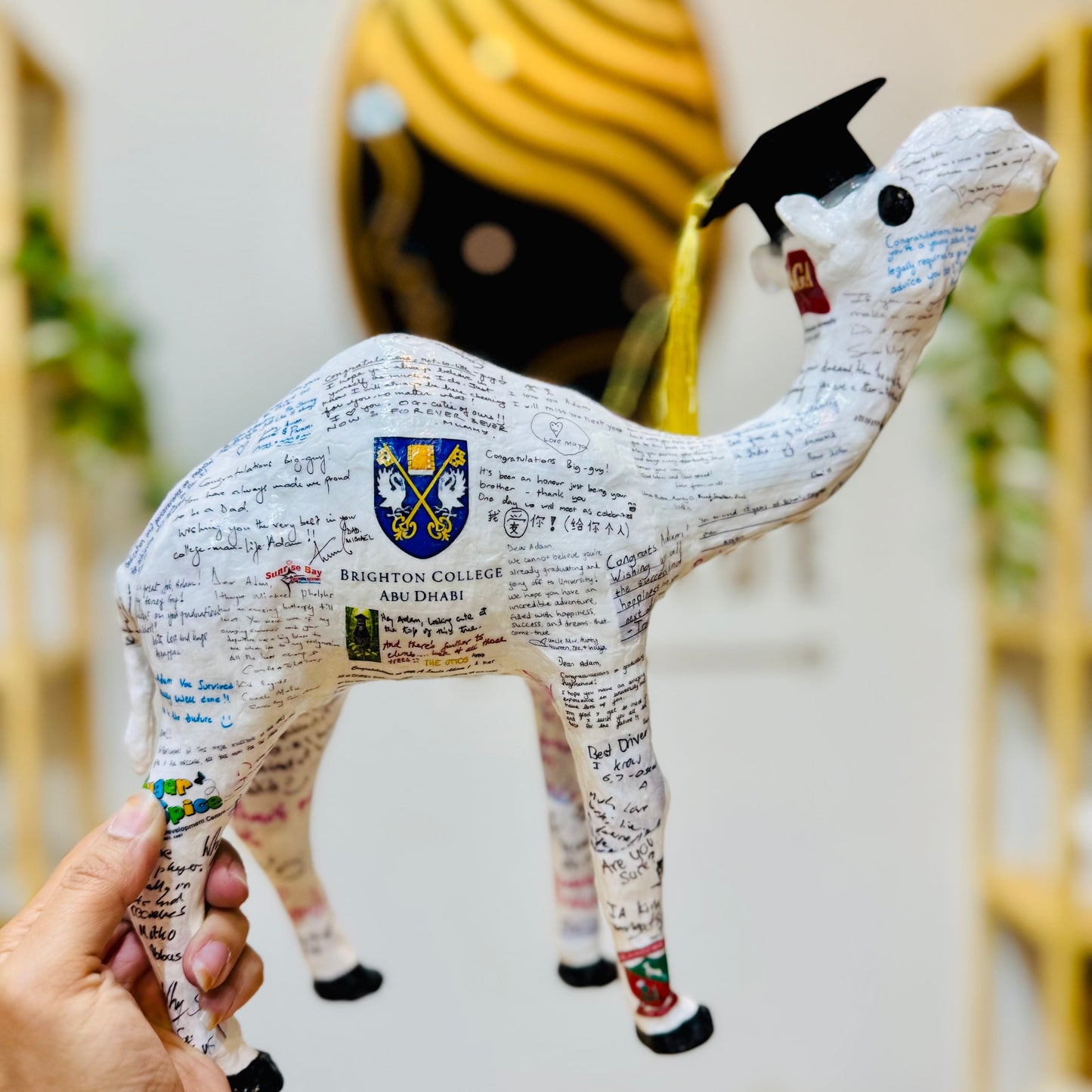 Handmade Graduation Camel – Personalized with Graduation Hat, University & School #1