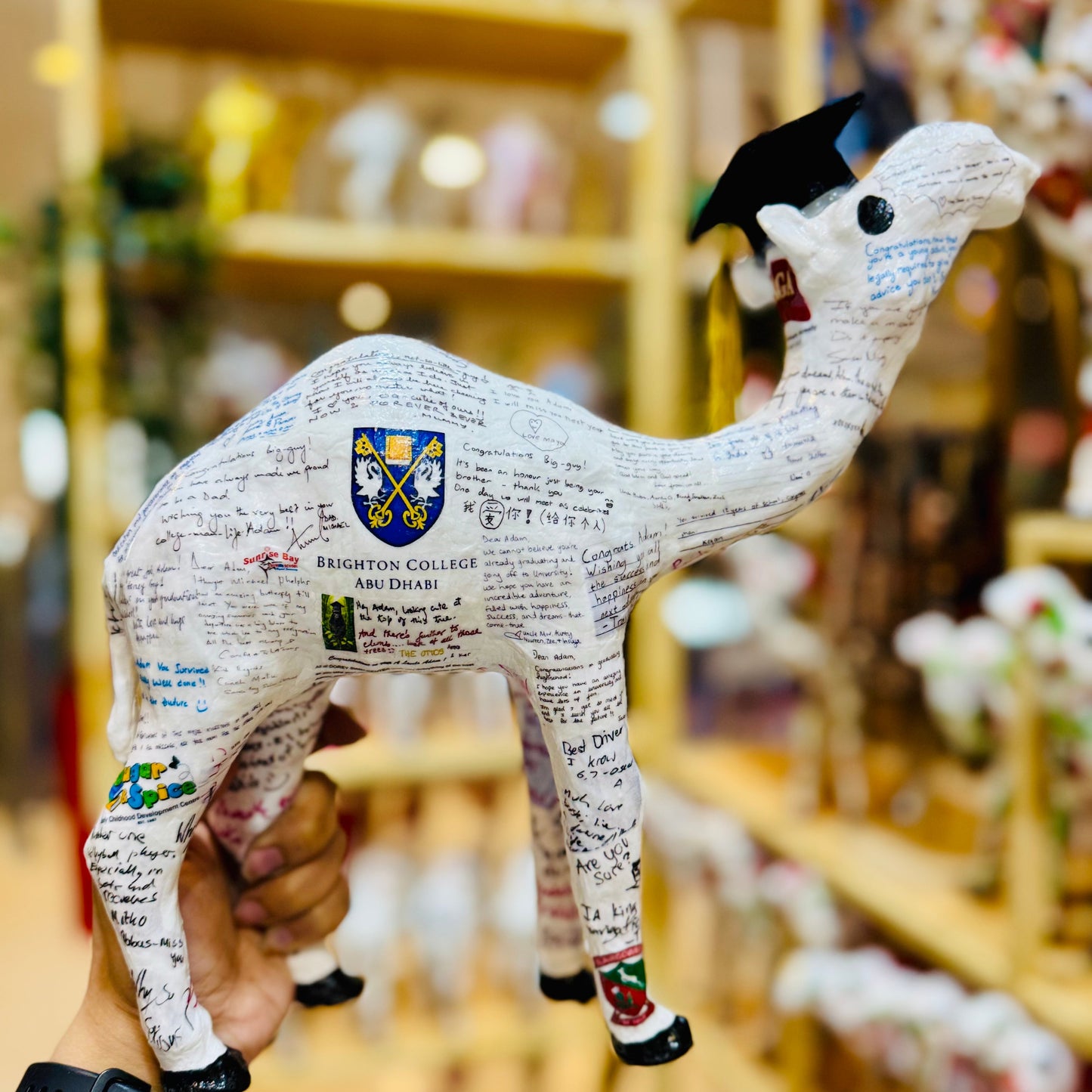 Handmade Graduation Camel – Personalized with Graduation Hat, University & School #1