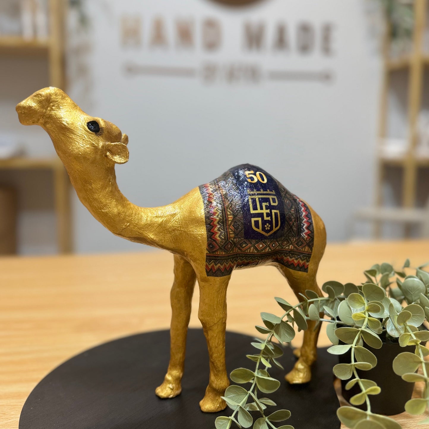 School 50th Anniversary Logo Camel