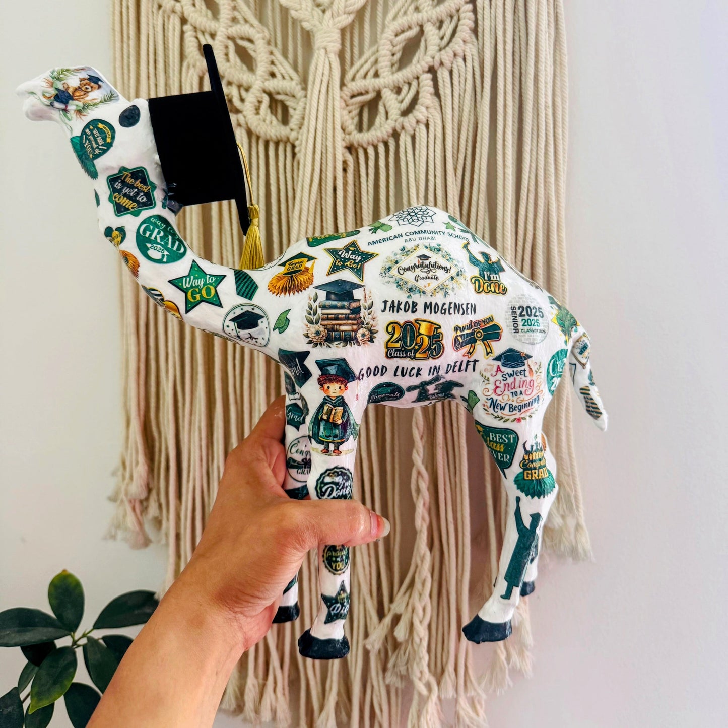 Handmade Graduation Camel – Personalized with Graduation Hat, University & School #4