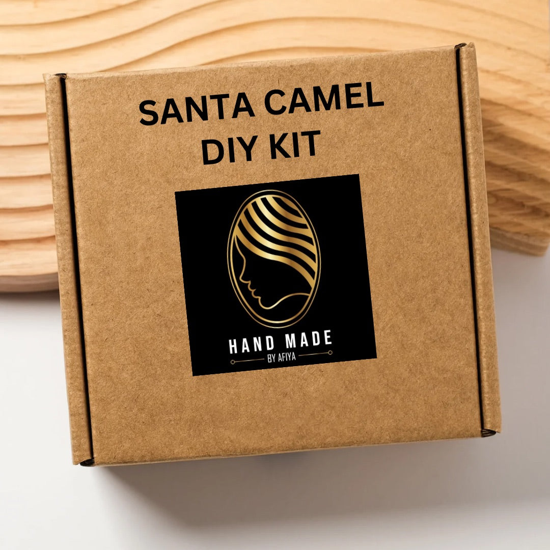 Santa Camel Diy Kit