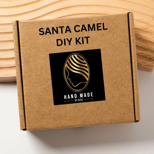 Santa Camel Diy Kit