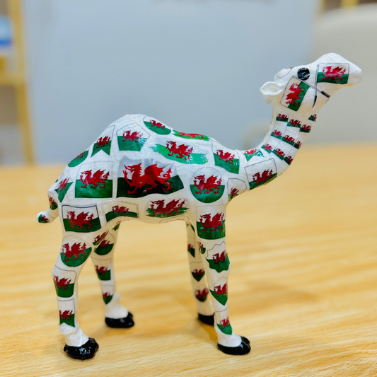 Wales Flag Camel